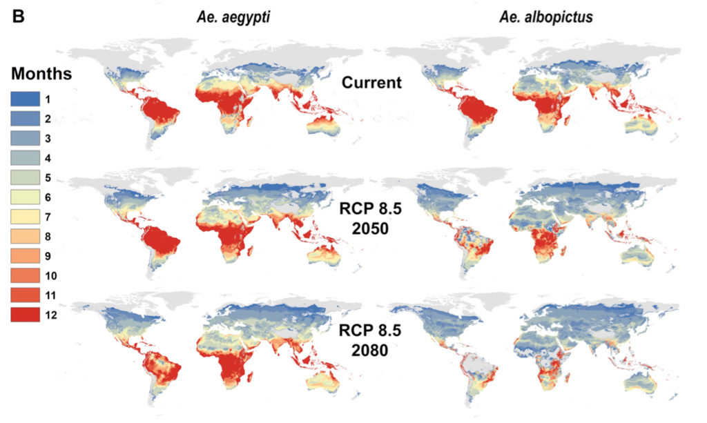 Mosquito Chart