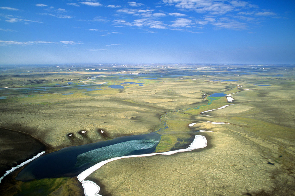 Aulavik National Park, northern Banks Island, Canada. Credit: All Canada Photos / Alamy Stock Photo. BFHN61