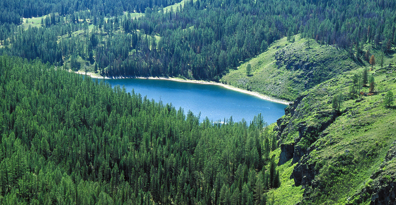 Pine forests surround a lake in the Altai mountain range in Russia. Credit: Yury Kirillov / Alamy Stock Photo. M906H7