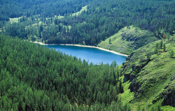 Pine forests surround a lake in the Altai mountain range in Russia. Credit: Yury Kirillov / Alamy Stock Photo. M906H7