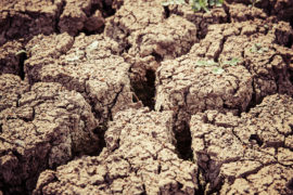 Dried earth