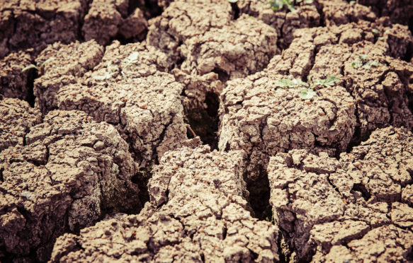 Dried earth