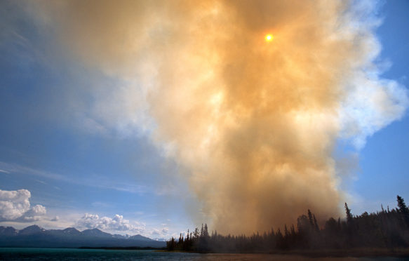 Wildfire by Skilak Lake, Kenai Peninsula, Alaska. Credit: Design Pics Inc / Alamy Stock Photo.