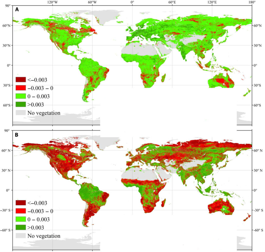 Rates of greening across the world between 1982-1998 (top) and 1999-2015 (bottom). Red indicates that the rate of greening decreased in the period, while green indicates that the rate increased. Grey shows land without vegetation. Source: Yuan et al. (2019)