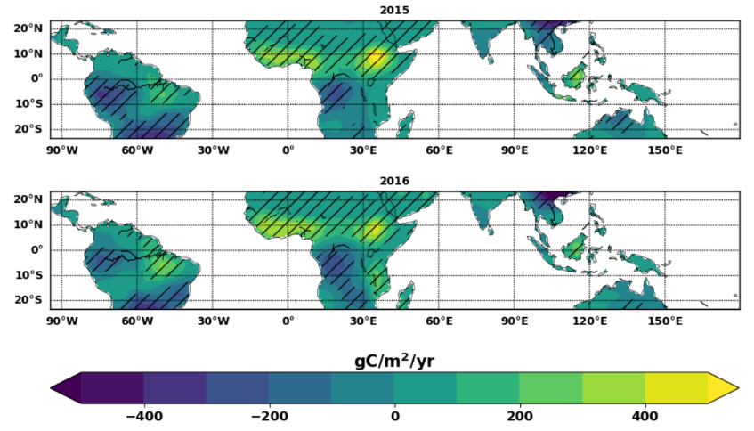 Africa S Tropical Land Emitted More Co2 Than The Us In 2016