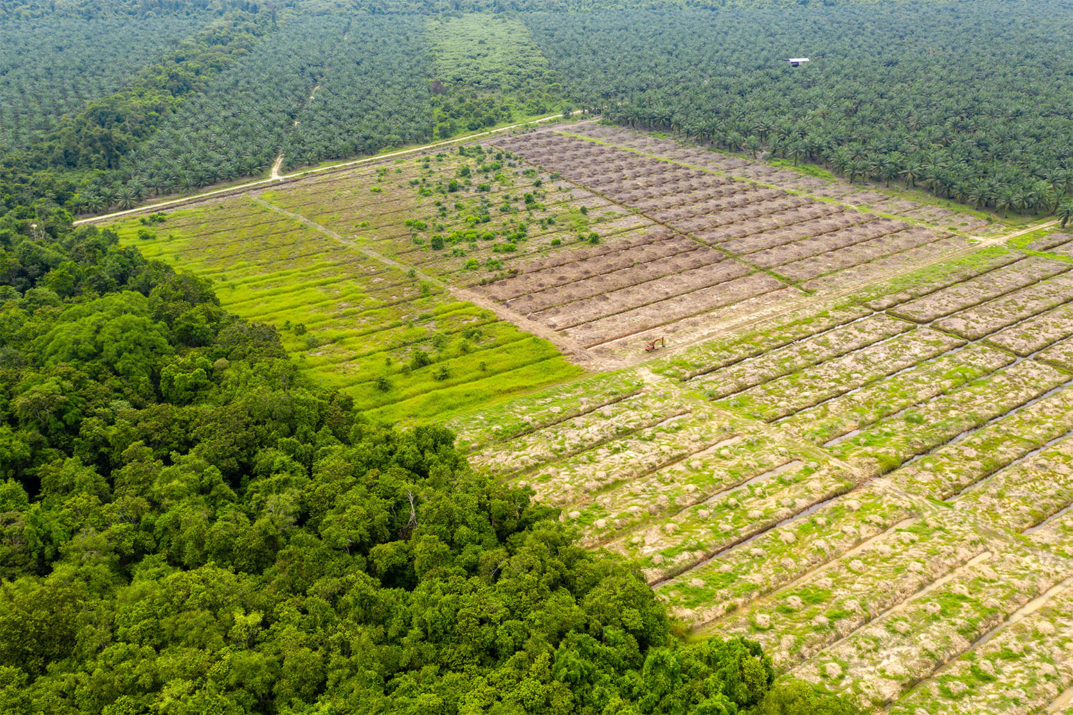 Chapter 4 : Land Degradation — Special Report on Climate Change