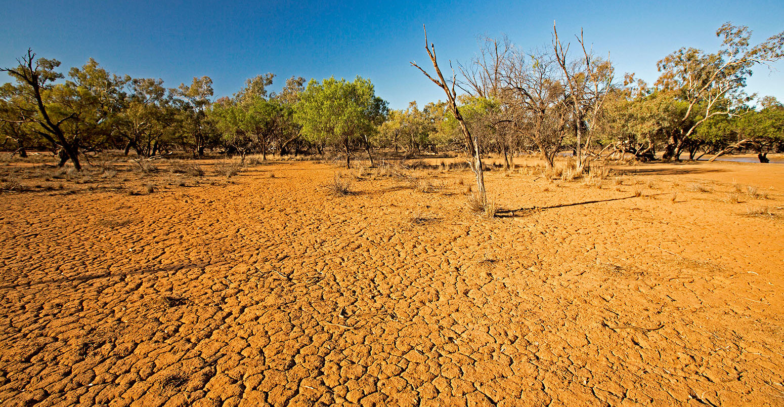 Drought in Currawinya National Park, Queensland, Australia. Credit: Outback Australia / Alamy Stock Photo.F550K1