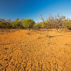 Drought in Currawinya National Park, Queensland, Australia. Credit: Outback Australia / Alamy Stock Photo.F550K1