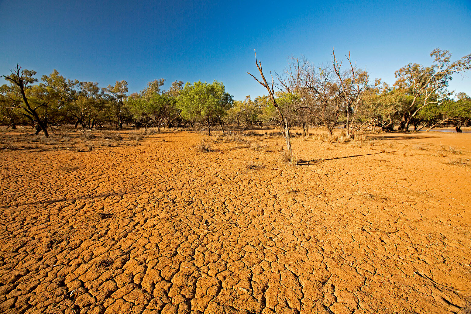 https://www.carbonbrief.org/wp-content/uploads/2019/08/drought-queensland-australia-F550K1.jpg