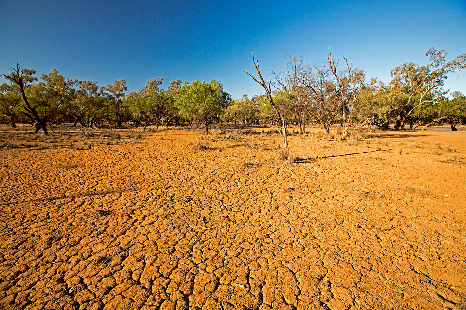 When the ground comes tumbling down: Subsidence that accompanies