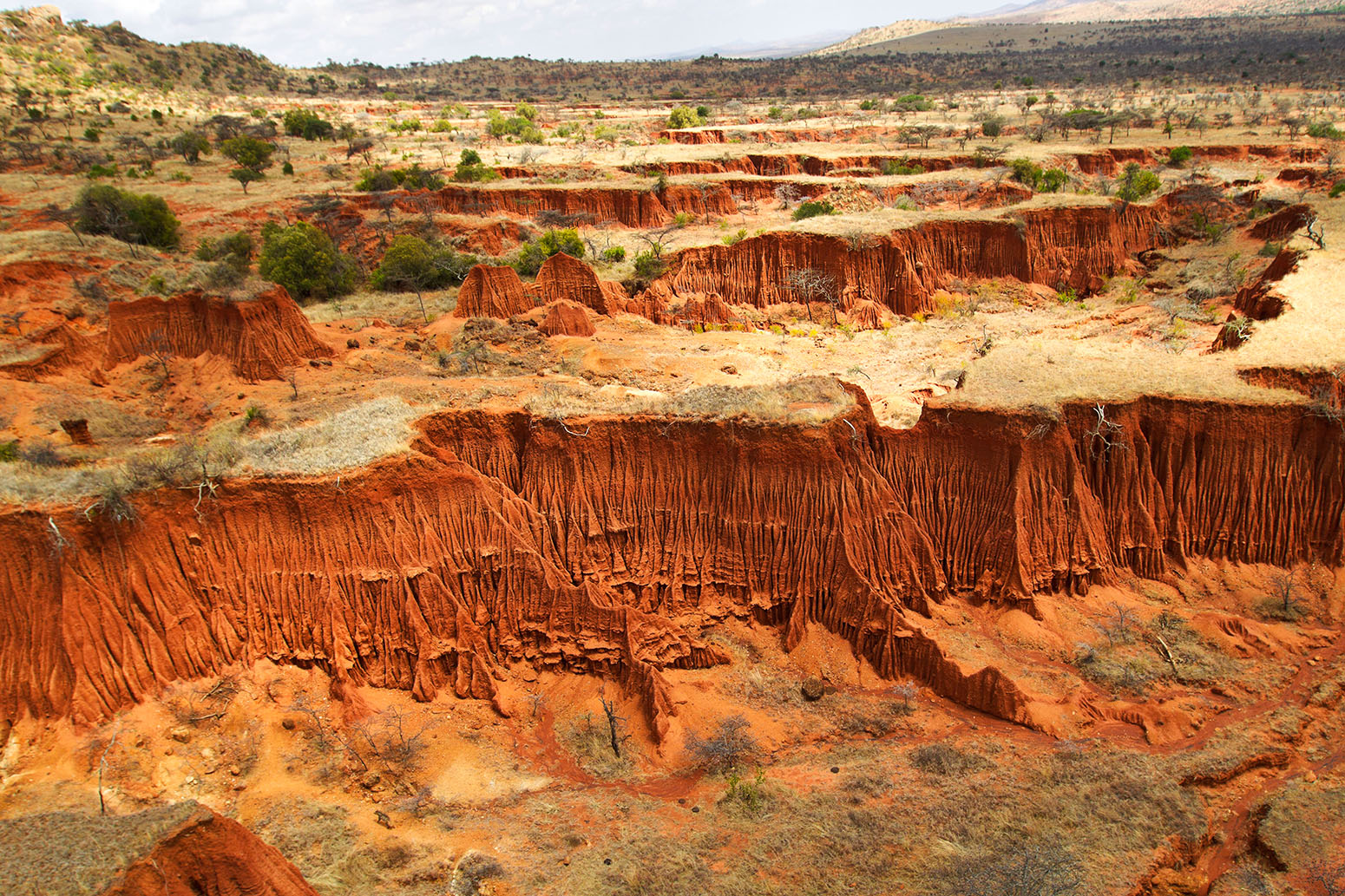 Chapter 4 : Land Degradation — Special Report on Climate Change