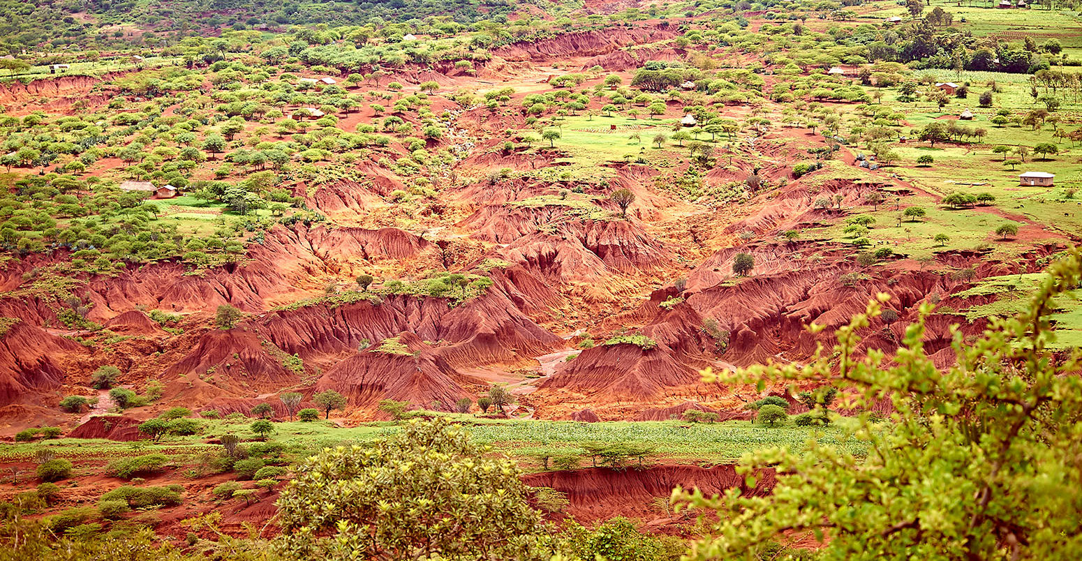 Image result for soil policy against erosion