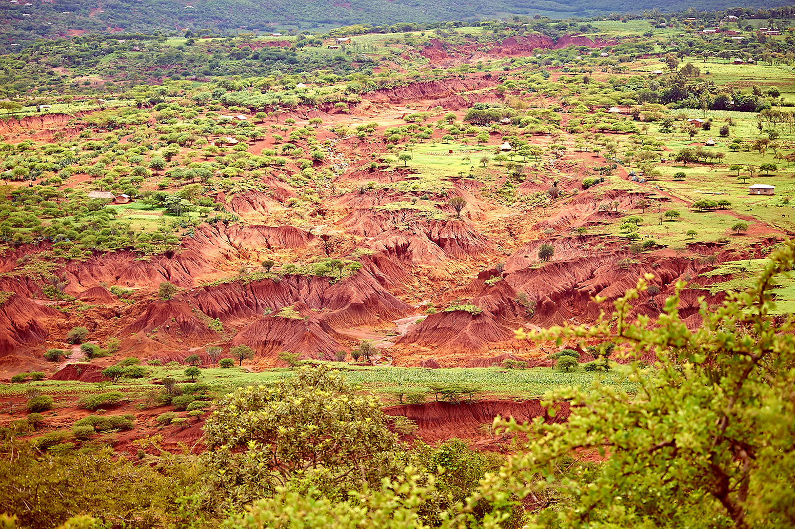 effects of land degradation in points