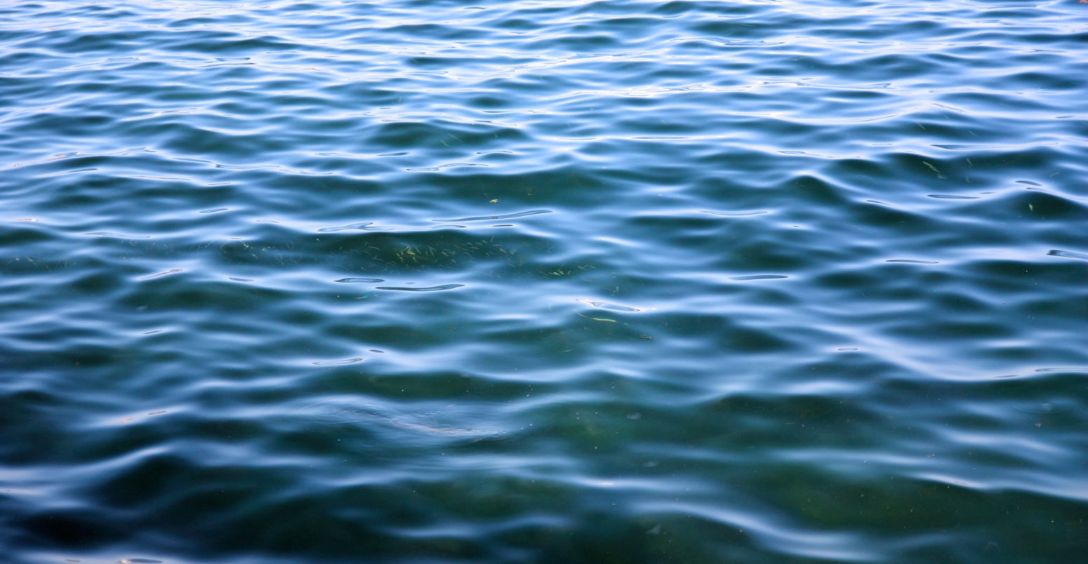 Blue green sea surface background with fishes full frame composition.