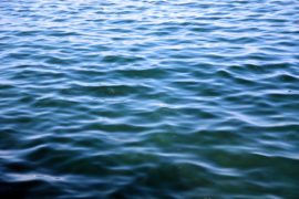 Blue green sea surface background with fishes full frame composition.