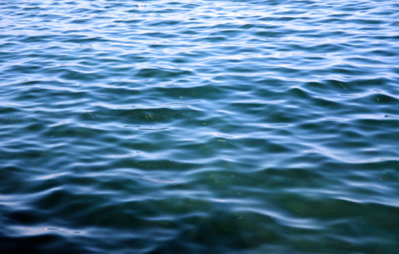 Blue green sea surface background with fishes full frame composition.