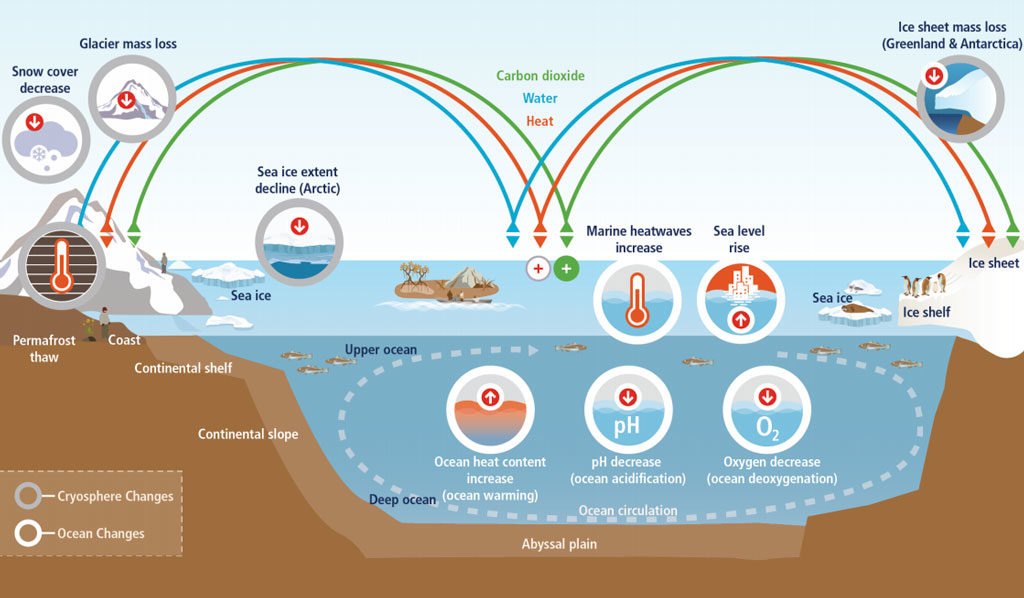 Schematic illustration of key components and changes of the ocean and cryosphere, and their linkages in the Earth system through the movement of heat, water, and carbon. Source: IPCC: Box 1.1, Figure 1 (pdf)