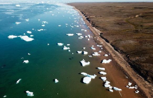 The coast of Jameson land on the edge of Scoresbysund, North East Greenland Credit: BIOSPHOTO / Alamy Stock Photo