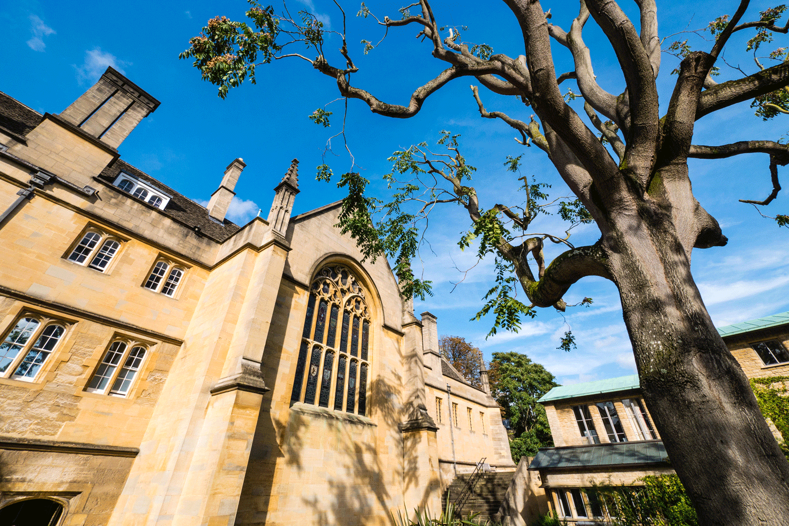 Highlights: The net-zero climate change conference in Oxford - Carbon Brief