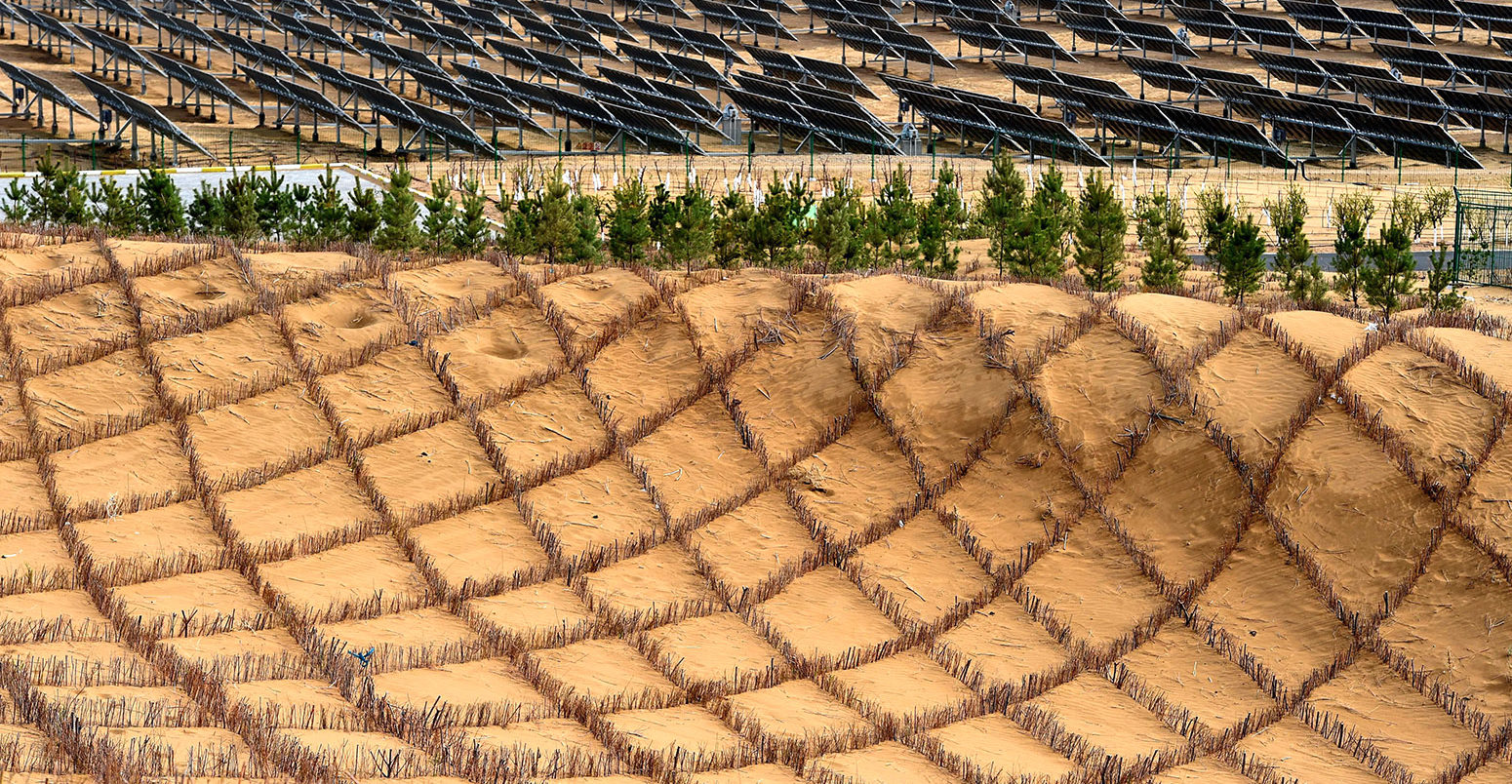 Newly-planted trees to help mitigate against the increasing desertification of the Kubuqi desert in China, 8 May 2019. Credit: Xinhua / Alamy Stock Photo. T91Y87