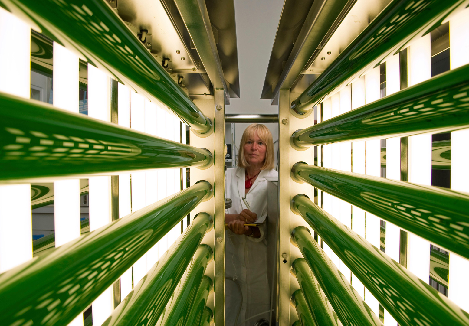 chemical-assistant-inspects-