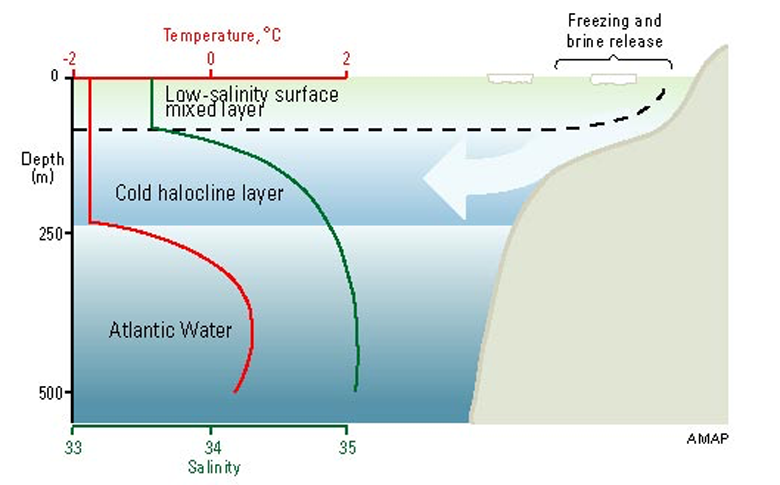 5 слоев океана. Слои океана. Придонные слои океана. Слои океана в масштабе. Arctic Ocean surface salinity.