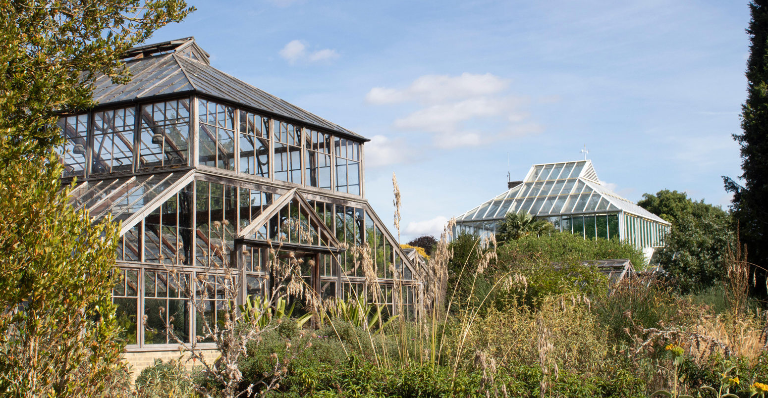 Glasshouse at Cambridge Botanic Gardens where the UK's temperature record was broken in July 2019. Credit: Juliet Ferguson / Alamy Stock Photo