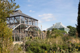 Glasshouse at Cambridge Botanic Gardens where the UK's temperature record was broken in July 2019. Credit: Juliet Ferguson / Alamy Stock Photo