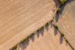 Aerial view of a tractor ploughing a field in Suffolk, UK. Credit: Chris Cullen / Alamy Stock Photo. 2A0X231