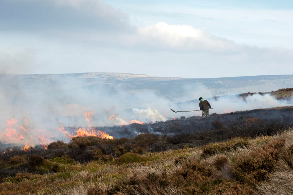 Grouse moor management by heather burning, Peak District National Park, UK. Credit: Christian Heintzen / Alamy Stock Photo. 2A7G58J