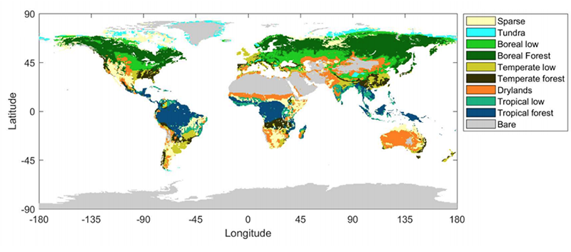 Tropical Forests Losing Ability To Absorb Co2 Study Says Carbon Brief