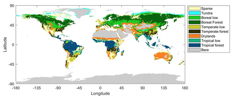 Tropical Forests Losing Ability To Absorb Co2 Study Says Carbon Brief