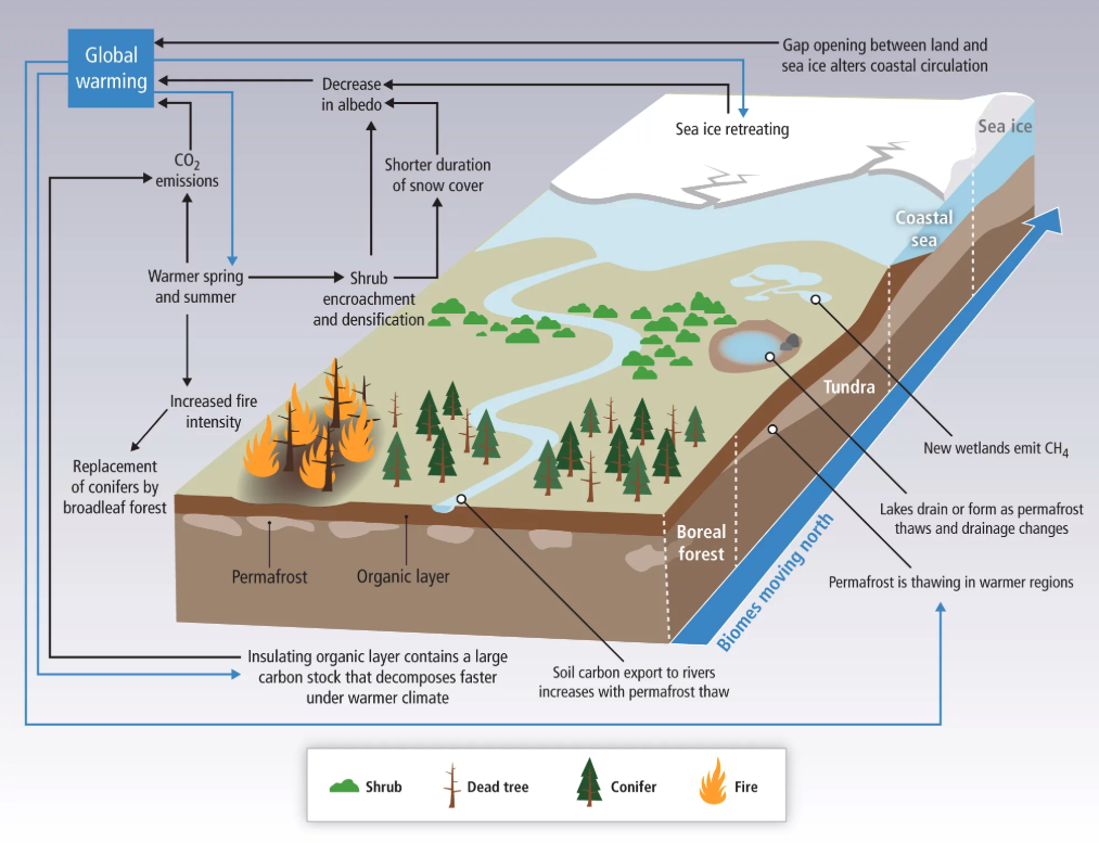 How close is the tipping point? Forest loss in the east changes the equation