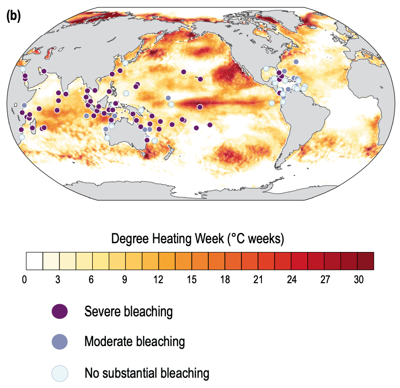 Is the boreal forest on the edge of a climate change tipping point? -  Unearthed