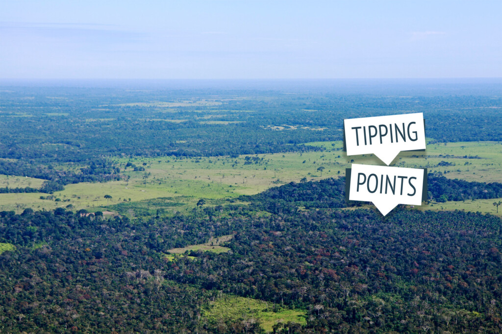 Aerial image of the Amazon rainforest near Puerto Maldonado, Peru. Credit: Kuttig-Travel-2 / Alamy Stock Photo.