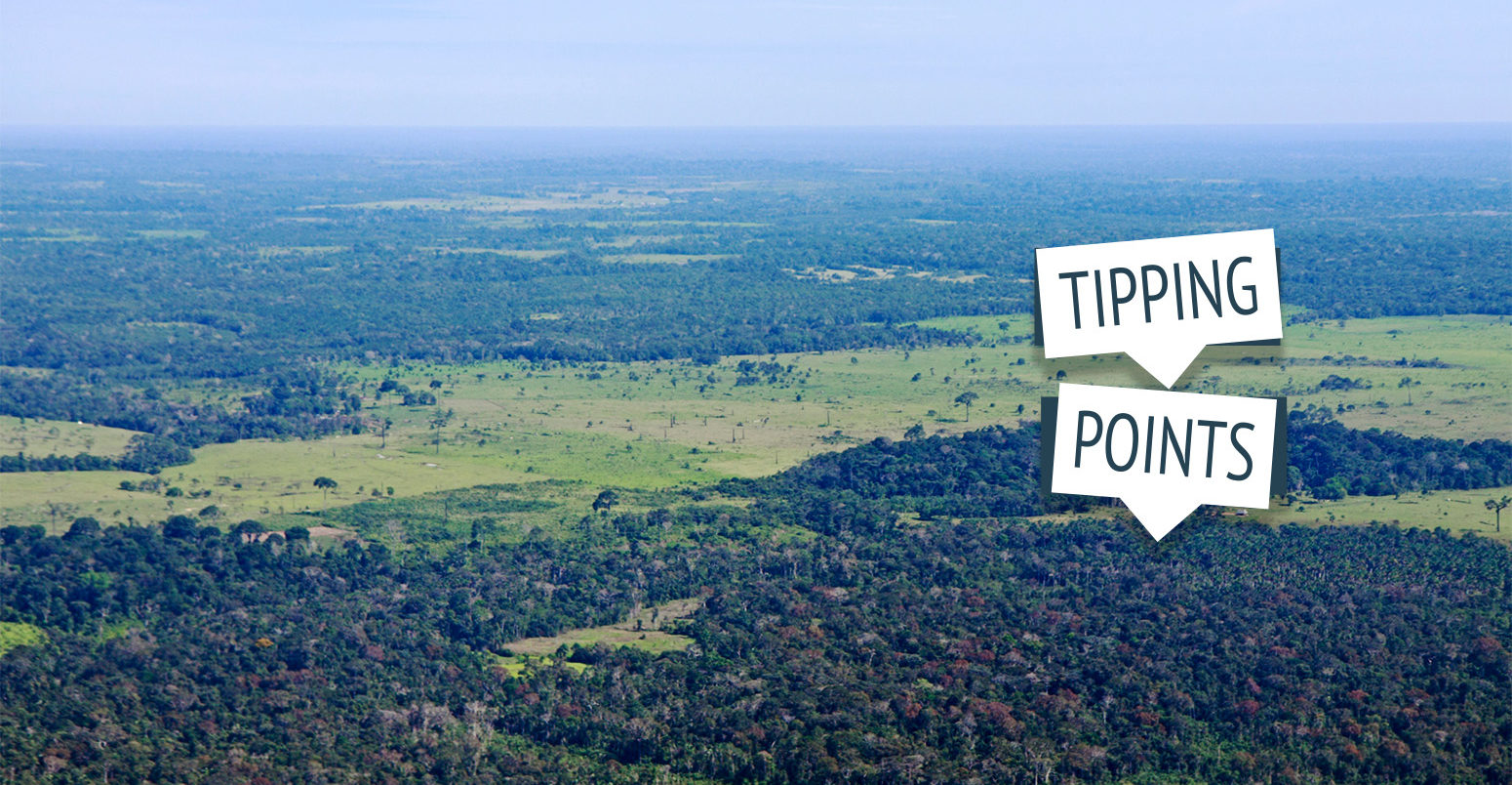 Aerial image of the Amazon rainforest near Puerto Maldonado, Peru. Credit: Kuttig-Travel-2 / Alamy Stock Photo.