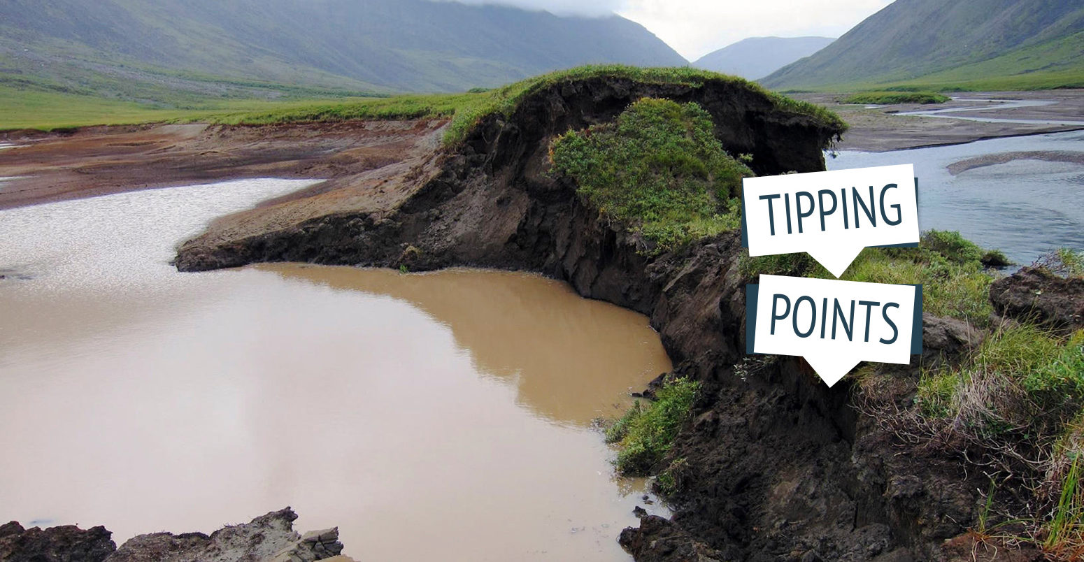 Permafrost thaw in the Gates of the Arctic National Park, Alaska. Credit: Natural History Archive / Alamy Stock Photo. M5R6R1