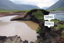 Permafrost thaw in the Gates of the Arctic National Park, Alaska. Credit: Natural History Archive / Alamy Stock Photo. M5R6R1