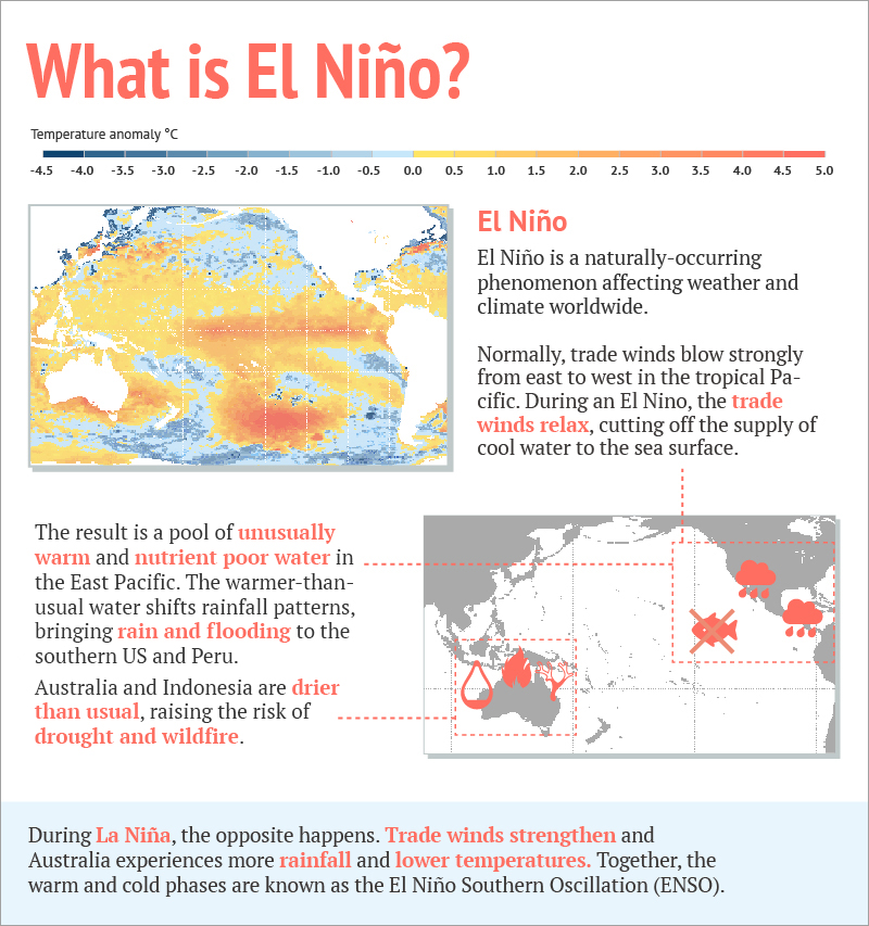 El Niño is a naturally-occuring phenomenon affecting weather and climate worldwide.

Normally, trade winds blow strongly from east to west in the tropical Pacific. During an El Niño, the trade winds relax, cutting off the supply of cool water to the sea surface.