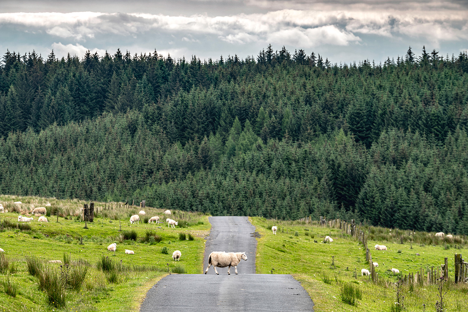 Newcastleton, Scottish Borders, UK. Credit: Chris Strickland / Alamy Stock Photo. W0KNYG