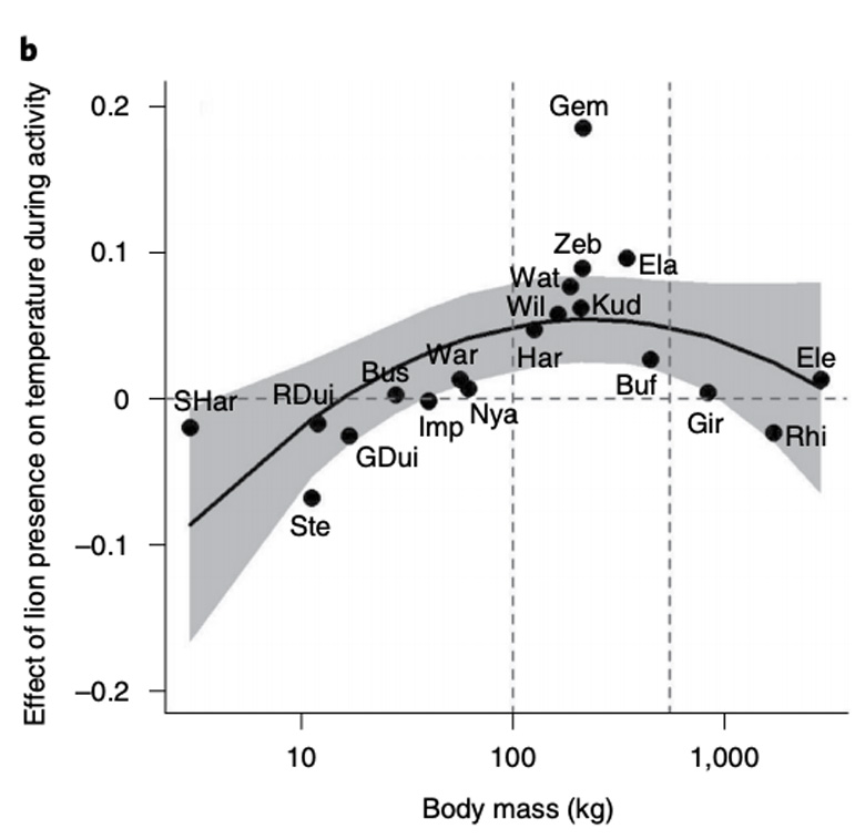 The effect of lion presence on the average temperature during activity for 19 herbivore species. Species include scrub hare (SHar); steenbok (Ste); red duiker (RDui); grey duiker (GDui); bushbuck (Bus); impala (Imp); common warthog (War); nyala (Nya); hartebeest (Har); common wildebeest (Wil); waterbuck (Wat); greater kudu (Kud); plains zebra (Zeb); gemsbok (Gem); common eland (Ela); buffalo (Buf); giraffe (Gir); white rhino (Rhi); elephant (Ele). Black lines represent predictions from linear regression models and their 95% confidence interval (grey area). Source: Veldhuis et al. (2020)
