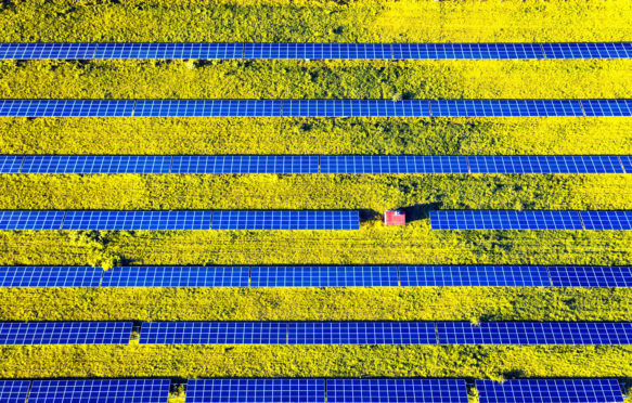 Aerial drone photo looking down on rows of blue solar panels in a renewable energy farm, Ukraine. Credit: Ivan Kmit / Alamy Stock Photo