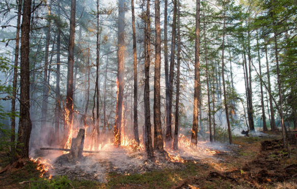A forest fire in central Sakha Republic, Russia.
