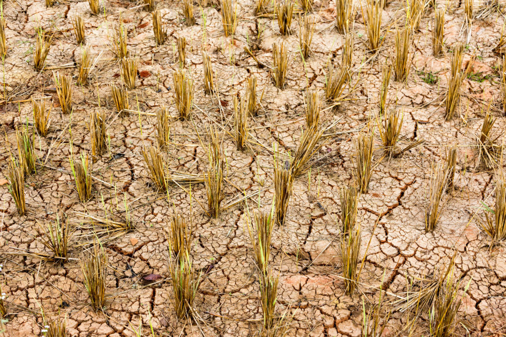 Increasing droughts will drive โbillionsโ in economic losses in Europe ... Biology Diagrams