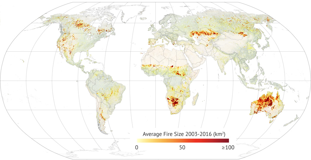 Explainer How climate change is affecting wildfires around the world