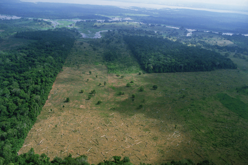 Aerial view of deforestation of rain forests in Brazil near Amazon River. Credit: Chad Ehlers / Alamy Stock Photo.