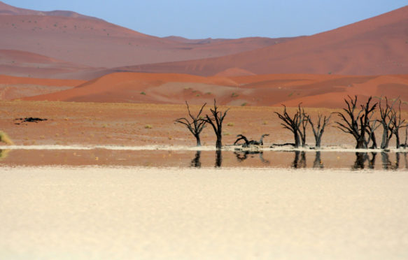 Dead Vlei tree with mirage, Nambia.