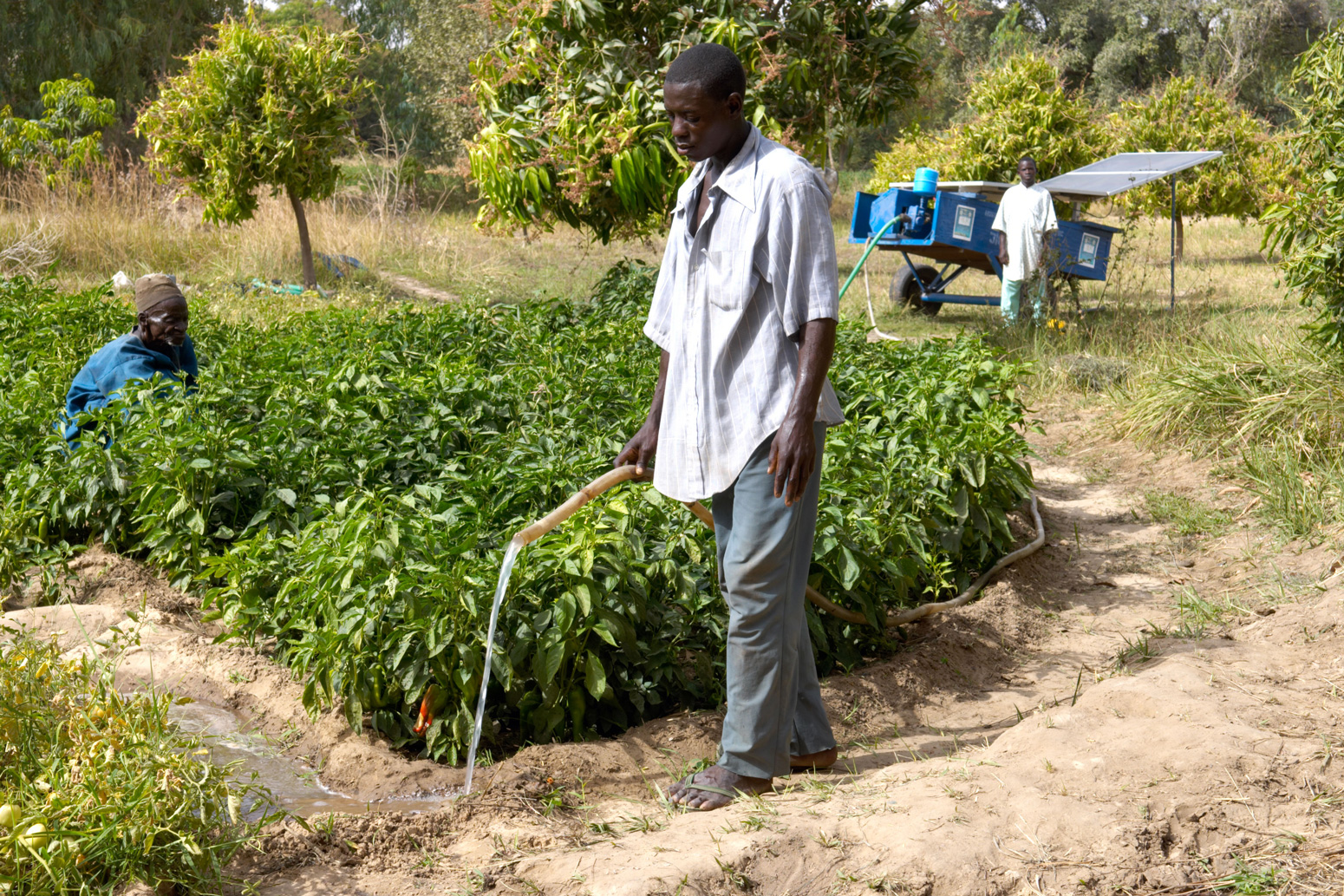 Kleinschalig zonne-energieproject in het dorp Wawan Rafi, Jigawa State Northern Nigeria.