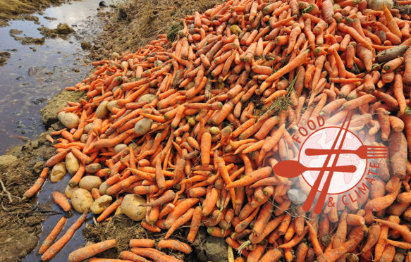 A pile of waste carrots with a few potatoes spilling out. Credit: Alistair Scott / Alamy Stock Photo.. B1YNT9