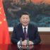 Chinese President Xi Jinping addresses the Global Trade in Services Summit.